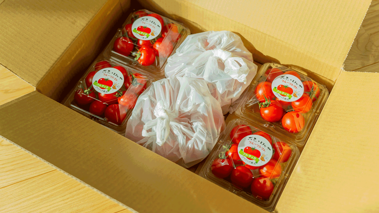 【お試し用セット販売】フルーツトマト「ポモロッサ４パック＋α」